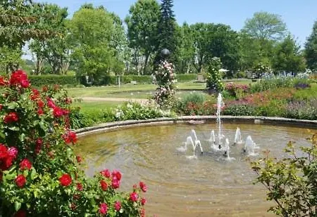 Rosen Und Rosse * Zweibrücken