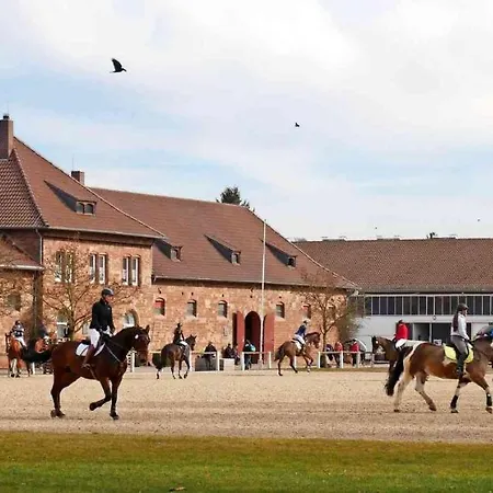 Rosen Und Rosse Zweibrücken