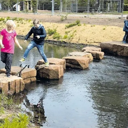 Rosen Und Rosse ツヴァイブリュッケン