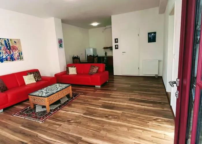 Rosen Und Rosse Zweibrücken