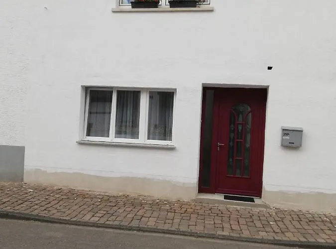 Rosen Und Rosse * Zweibrücken