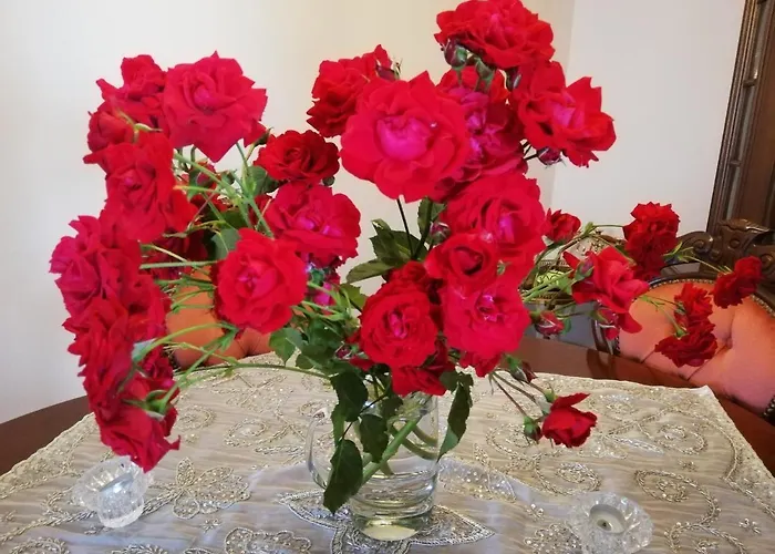 Apartment Rosen Und Rosse