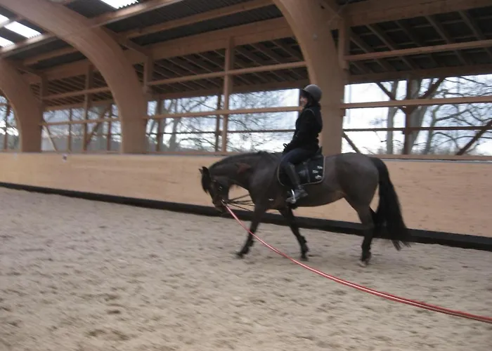 Rosen Und Rosse Apartment Zweibruecken