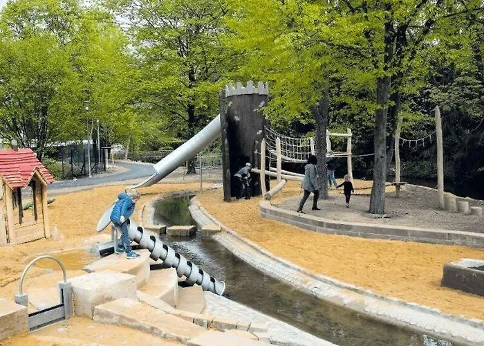 Rosen Und Rosse Zweibruecken