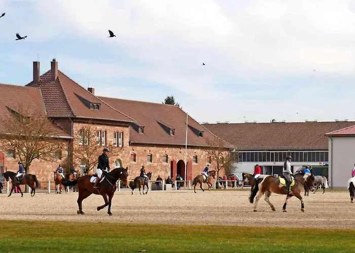 Rosen Und Rosse Zweibruecken