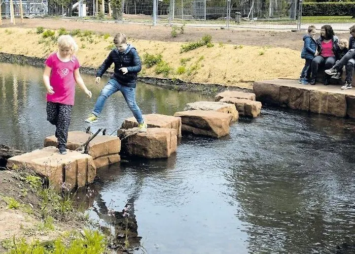Rosen Und Rosse Zweibruecken