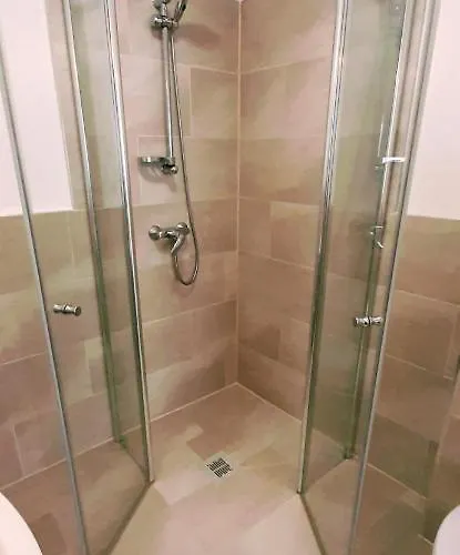 Rosen Und Rosse Zweibrücken